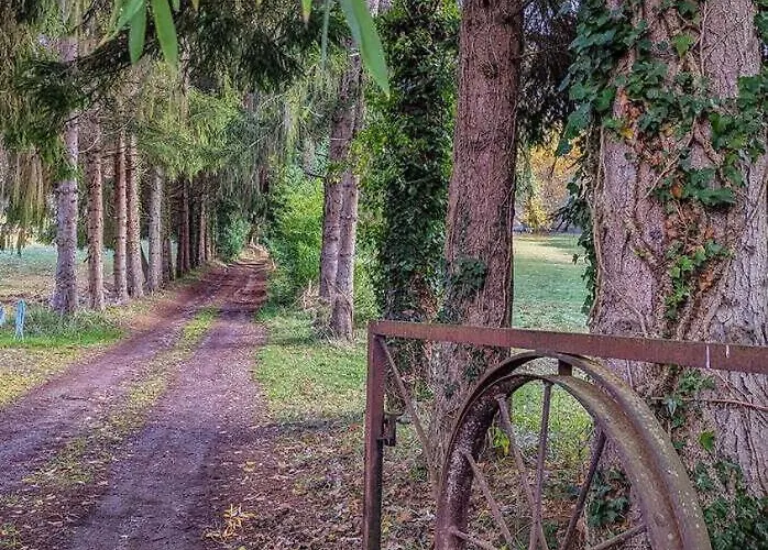 L'ouastadet 度假居 *