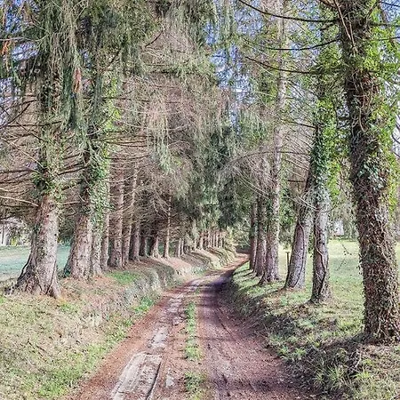 L'ouastadet *