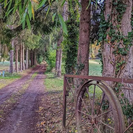 L'ouastadet بيت للعطل *